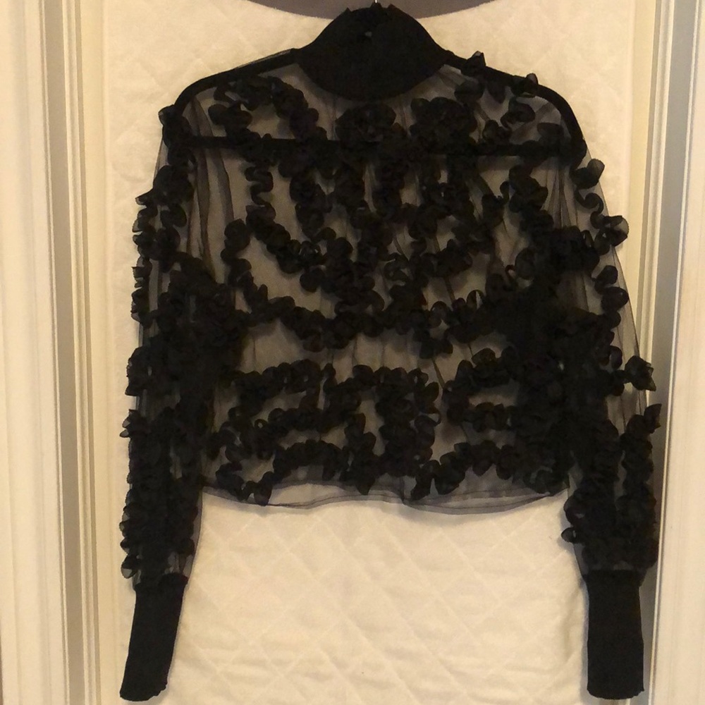 Sheer Zara top